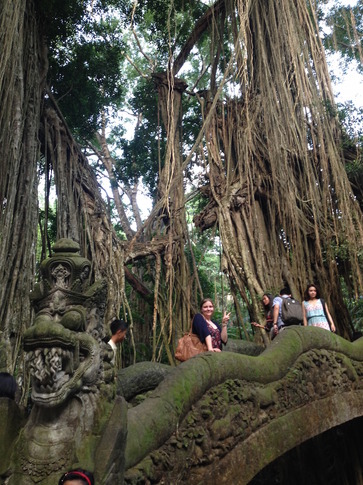 picture1.JPG